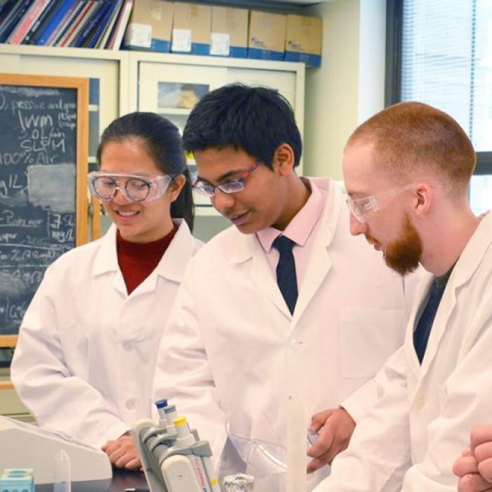 A group of for graduate students in the laboratory talking and looking a equipment on the table in front of them.