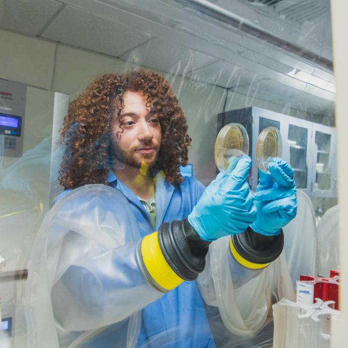 Shane Connolly wearing gloves and lab coat with hands in a fume hood