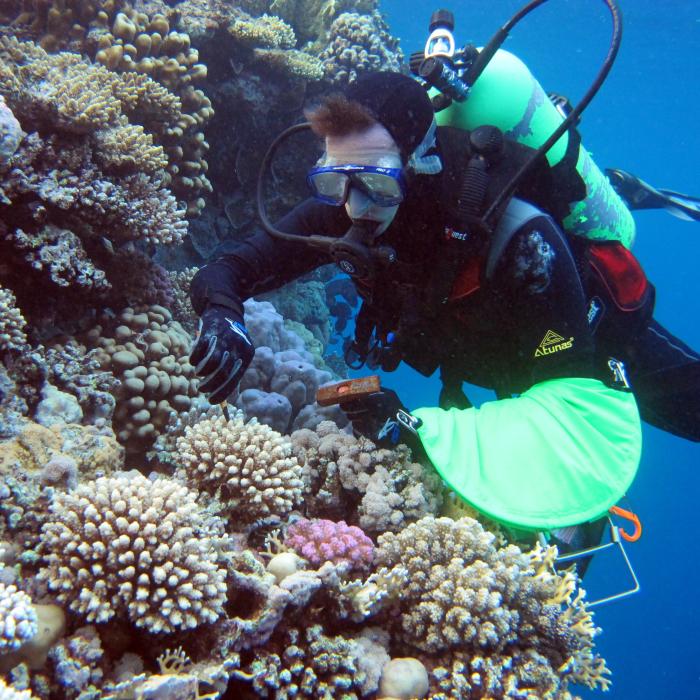 LaJeunesse Lab Diving