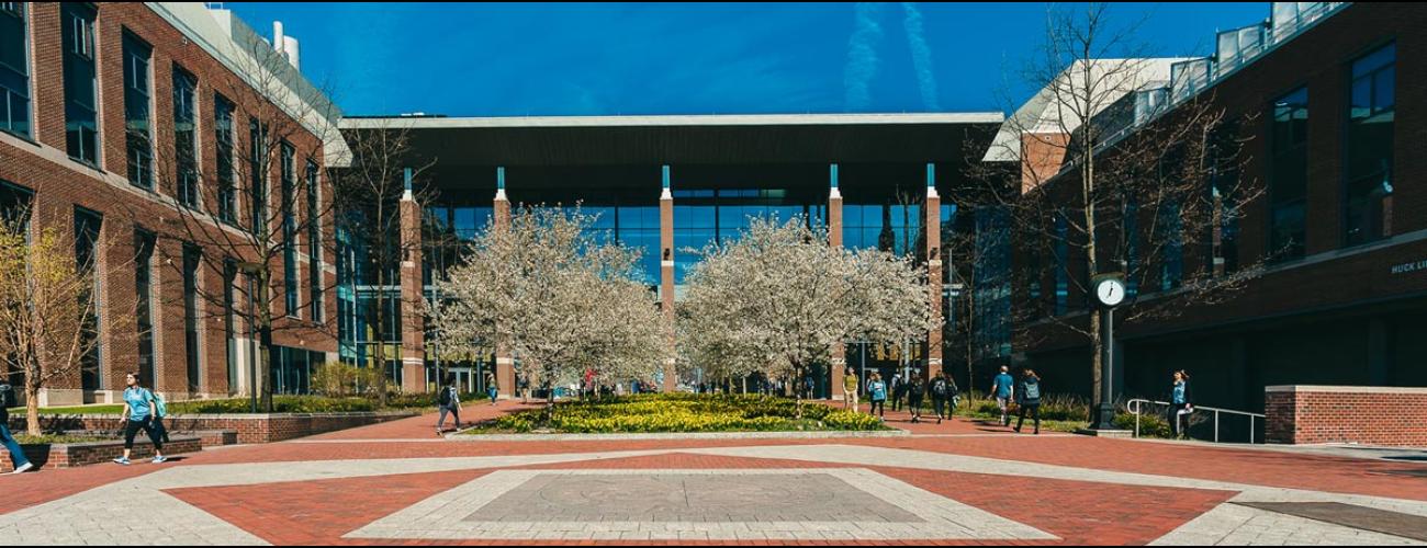 Image of the mall with the Gateway to the Life Sciences bridge in the background.