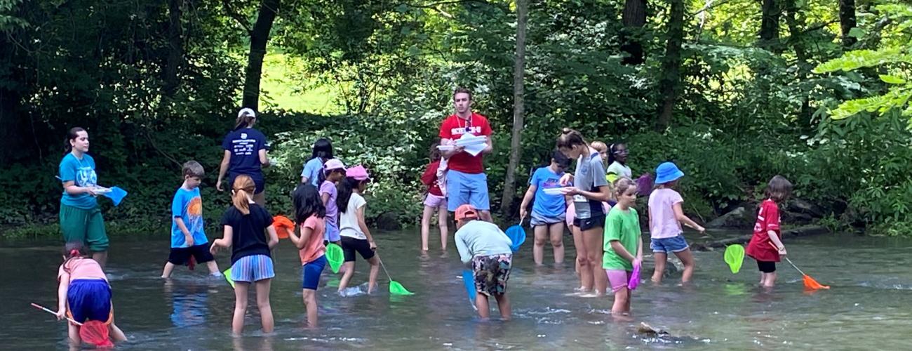 Nature Explorer campers doing a stream study