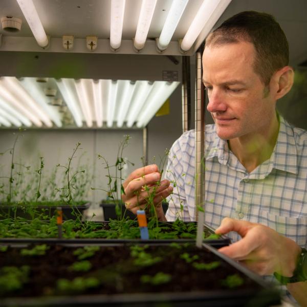 Charlie Anderson examines plants
