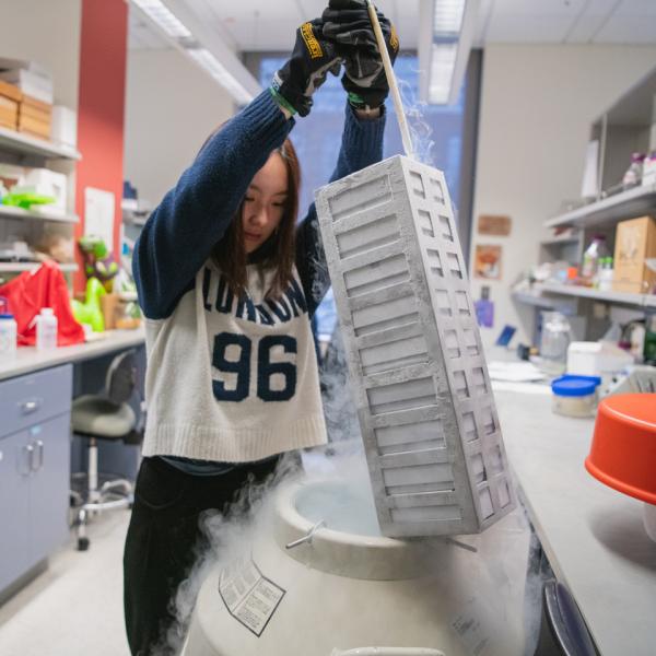 A graduate student researcher working in the Santhosh Girirajan lab.