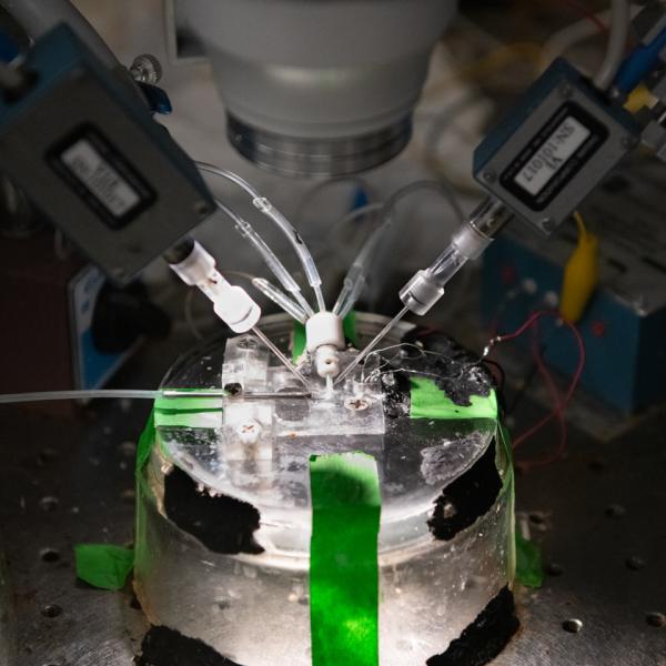 timjeglalab Close-up photo of an experiment in the Tim Jegla lab