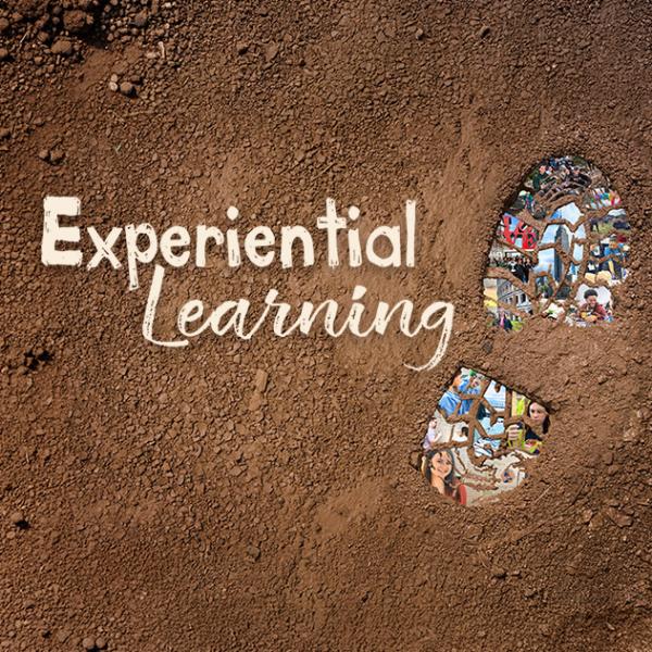 Science Journal Fall 2026 hero banner image for the "Experimental Learning" theme.