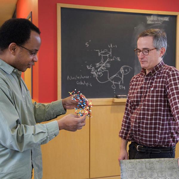 Interdisciplinary Sciences