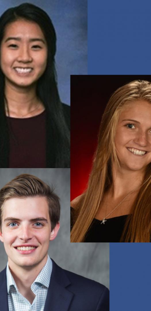 Alice Liu, Sofie Lutfy, and Jonathan Westlake