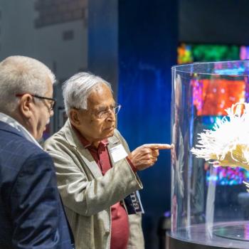 Three attendees looking at one of the displays at the Your Brain exhibit at the Franklin Institute